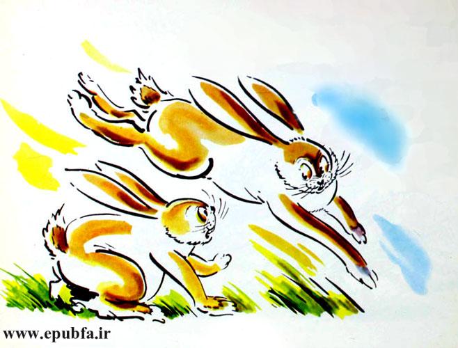 خرگوش نایستاد برای جواب دادن. در همان حال که میدوید، فریاد زد